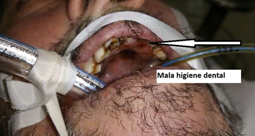 Imagen1