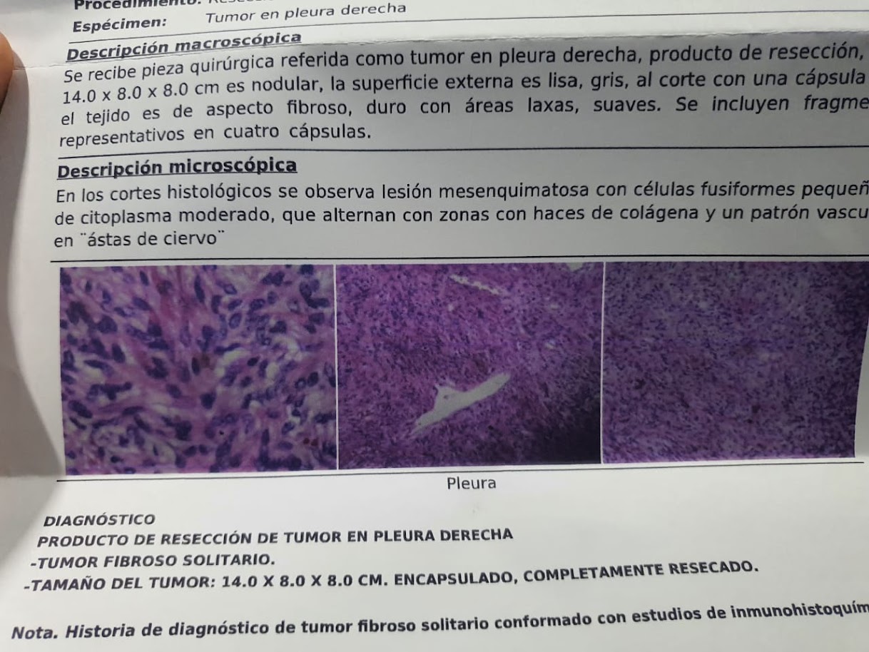 patologia